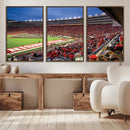 Wisconsin Badgers Football Team Print - Madison Camp Randall by MyGreatCanvas | Canvas Wall Art Prints | Photo Prints & Wall Decor