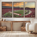 Camp Randall Stadium Wisconsin Badgers Large Wall Art Canvas