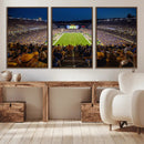 Pittsburgh Panthers Football Team Print - Pittsburgh