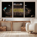 Wake Forest University Demon Deacons Canvas Printi, Football