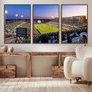 University of North Texas Mean Green Football Team Print - by MyGreatCanvas | Canvas Wall Art Prints | Photo Prints & Wall Decor