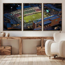 University of North Texas Mean Green Football Artwork,