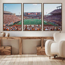 Framed Texas Memorial Stadium Canvas, University of Texas