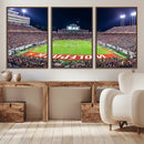Wolfpack Football Team Print - Raleigh Carter-Finley Stadium by MyGreatCanvas | Canvas Wall Art Prints | Photo Prints & Wall Decor