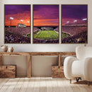 East Carolina University Pirates Football Print Canvas-