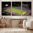 Florida Atlantic University Owls Canvas Print, Football Team by MyGreatCanvas | Canvas Wall Art Prints | Photo Prints & Wall Decor