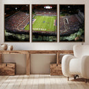Florida Atlantic University Owls Football Team Print - Boca by MyGreatCanvas | Canvas Wall Art Prints | Photo Prints & Wall Decor