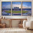 Florida Atlantic University Owls Football Team Print - Boca by MyGreatCanvas | Canvas Wall Art Prints | Photo Prints & Wall Decor