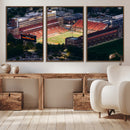 University of Illinois Fighting Illini Football Team Print -