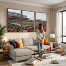 University of Illinois Fighting Illini Football Team Print -