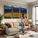 University of Illinois Fighting Illini Football Team Print -