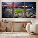 Penn State Nittany Lions Football Team Print - University