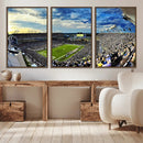 Framed USF Bulls Football Team Print - Tampa Raymond James by MyGreatCanvas | Canvas Wall Art Prints | Photo Prints & Wall Decor