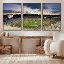 Arizona Wildcats Football Team Print - Tucson Arizona by MyGreatCanvas | Canvas Wall Art Prints | Photo Prints & Wall Decor