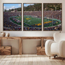 University of California Golden Bears Football Team Print - by MyGreatCanvas | Canvas Wall Art Prints | Photo Prints & Wall Decor