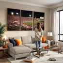 Indiana University Hoosiers Football Team Print Canvas