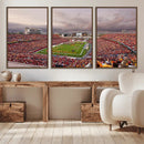 Iowa State University Cyclones Football Team Print - Ames