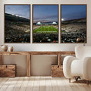 Michigan State Spartans Football Team Print - East Lansing