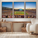 University of Minnesota Golden Gophers Art Print, Football by MyGreatCanvas | Canvas Wall Art Prints | Photo Prints & Wall Decor