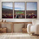 University of Minnesota Golden Gophers Football Team Print - by MyGreatCanvas | Canvas Wall Art Prints | Photo Prints & Wall Decor
