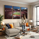 Ohio State University Buckeyes Football Team Print -