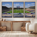 Rice University Owls Football Team Print - Houston Rice by MyGreatCanvas | Canvas Wall Art Prints | Photo Prints & Wall Decor