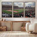Rutgers Scarlet Knights Football Team Print - SHI Stadium,