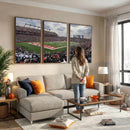 Rutgers Scarlet Knights Football Team Print - SHI Stadium,