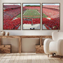 Rutgers Scarlet Knights Football Team Print - Piscataway SHI by MyGreatCanvas | Canvas Wall Art Prints | Photo Prints & Wall Decor