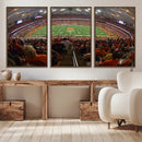 Syracuse University Orange Football Canvas Print, Football