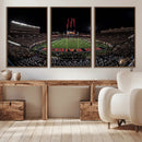 Framed Texas Tech Red Raiders Stadium Canvas, Texas Tech Red