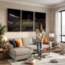 Framed Texas Tech Red Raiders Stadium Canvas, Texas Tech Red
