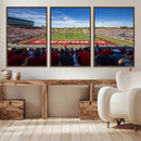 Ball State Cardinals Football Team Print - Muncie Scheumann