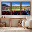 Ball State Cardinals Football Team Print - Muncie Scheumann