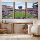 TCU Horned Frogs Football Team Print - Fort Worth Amon G.
