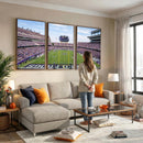 TCU Horned Frogs Football Team Print - Fort Worth Amon G.