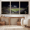 TCU Horned Frogs Football Team Print - Fort Worth Amon G.