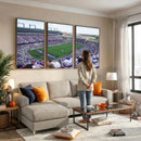 The Texas Christian University TCU Horned Frogs Football