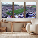 The Texas Christian University TCU Horned Frogs Football