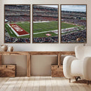 The Temple University Owls Athletics Team Print -