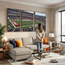 The Temple University Owls Athletics Team Print -
