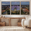 The Louisiana State University Tigers Football Team Print -