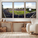 The Duke University Blue Devils Football Team Print - Durham