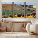 Puskar Stadium Canvas Print Wall Art - Morgantown Print -