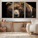 Grizzly Brown Bear Canvas Wall Art, Wildlife Animal Canvas