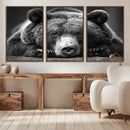 Resting Grizzly 399 Bear Canvas Print | Ready to Hang Wall