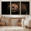 Wild Grizzly 399 Bear Canvas Wall Art Print, Bear Animal by MyGreatCanvas | Canvas Wall Art Prints | Photo Prints & Wall Decor