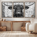 Abstract Longhorn Bull Wall Art Canvas Print - Rustic Texas