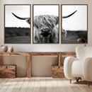 Highland Cow Wall Art | Black and White Farmhouse Decor |