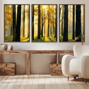 Sunlit Forest Wall Art Canvas Print – Large Framed Woodland